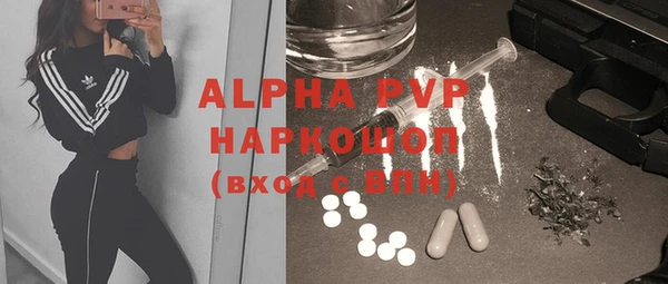 PSILOCYBIN Лихославль