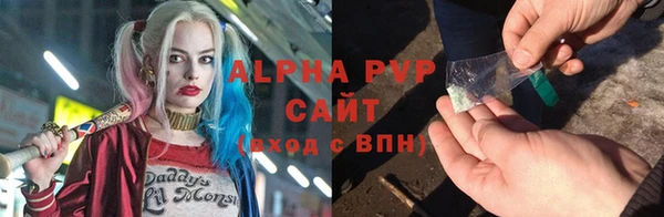 PSILOCYBIN Лихославль
