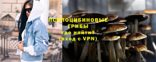 PSILOCYBIN Лихославль