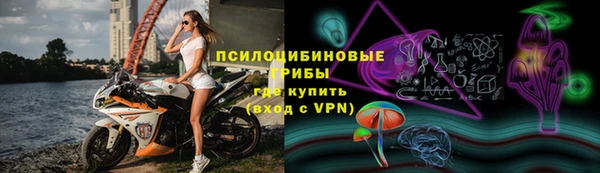 PSILOCYBIN Лихославль