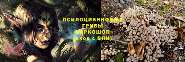 PSILOCYBIN Лихославль