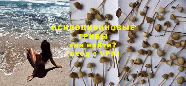 PSILOCYBIN Лихославль