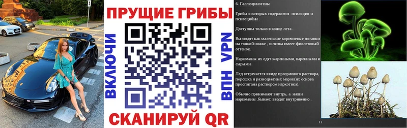 Купить закладки  Избербаш  Псилоцибиновые грибы мухоморы 