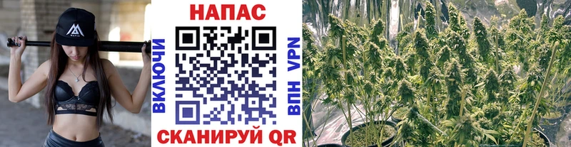 Марихуана Amnesia  Купить закладки  Избербаш 